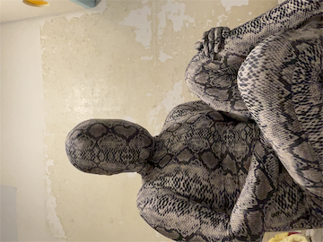 [Image: 1771605420_YtvgUfuTEKLJRti.png]